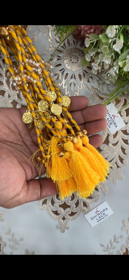 Beautiful Tassel Hanging Ghungru & Coin Work (12 pices) 230826