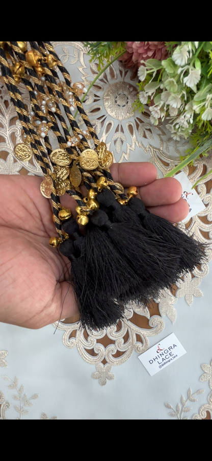 Beautiful Tassel Hanging Ghungru & Coin Work (12 pices) 230826