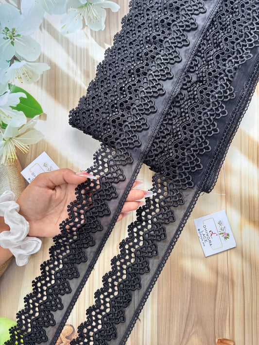 Beautiful Organza Based Lace Black 010725