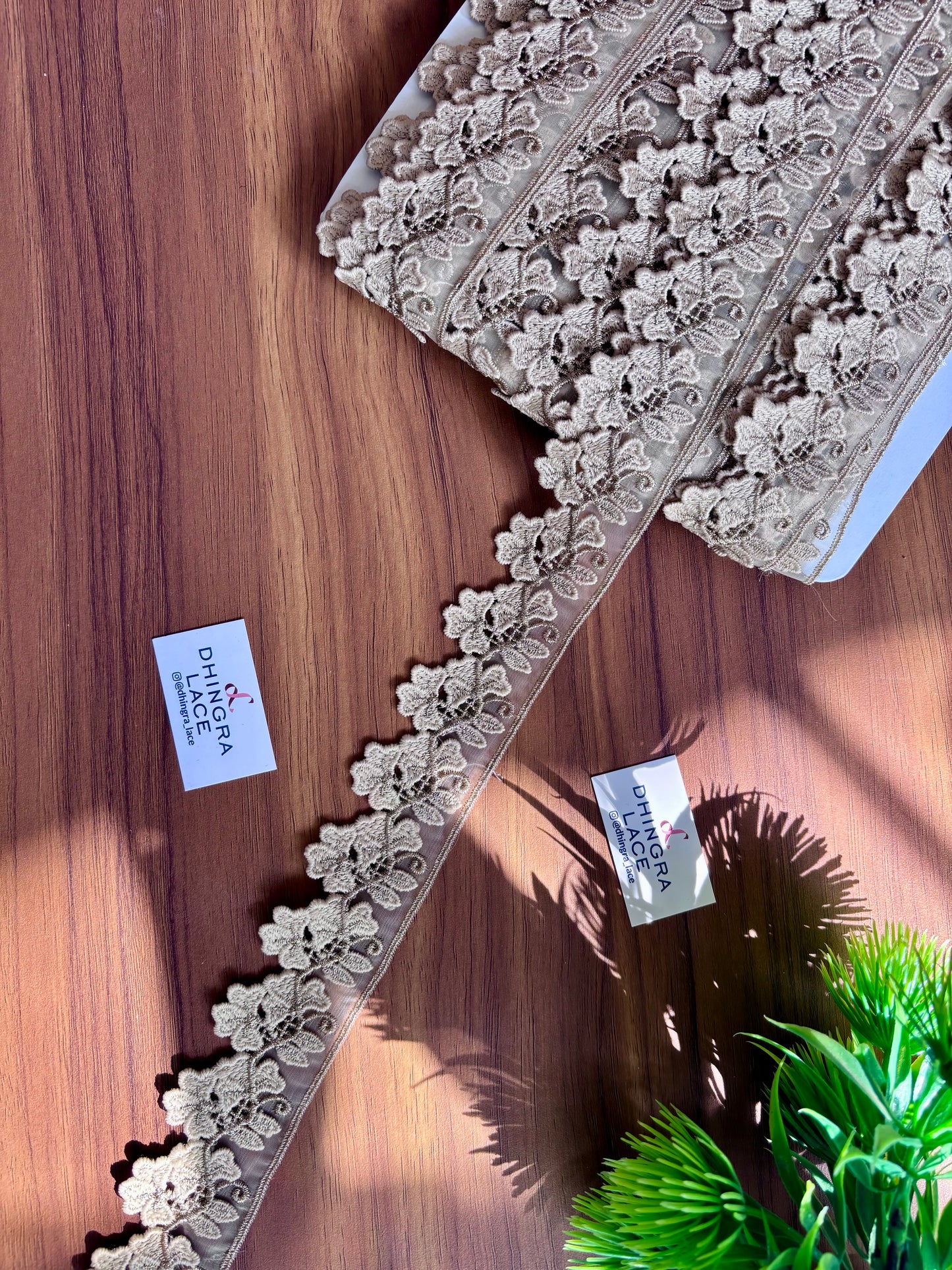 Beautiful Organza Based Guipure And Zari Work Lace Beige 051225