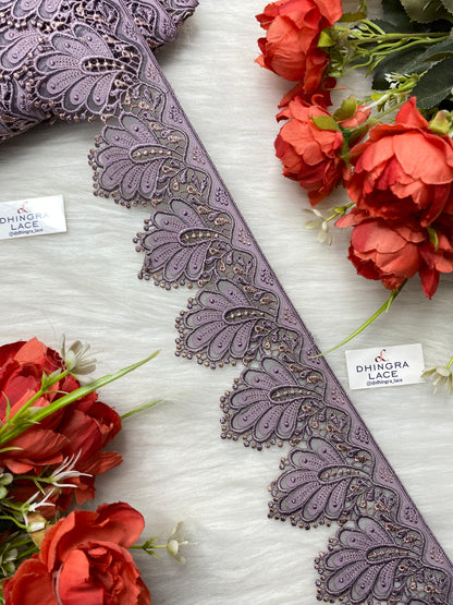 Beautiful Net Based Guipure Laces (1 Meter) 010726