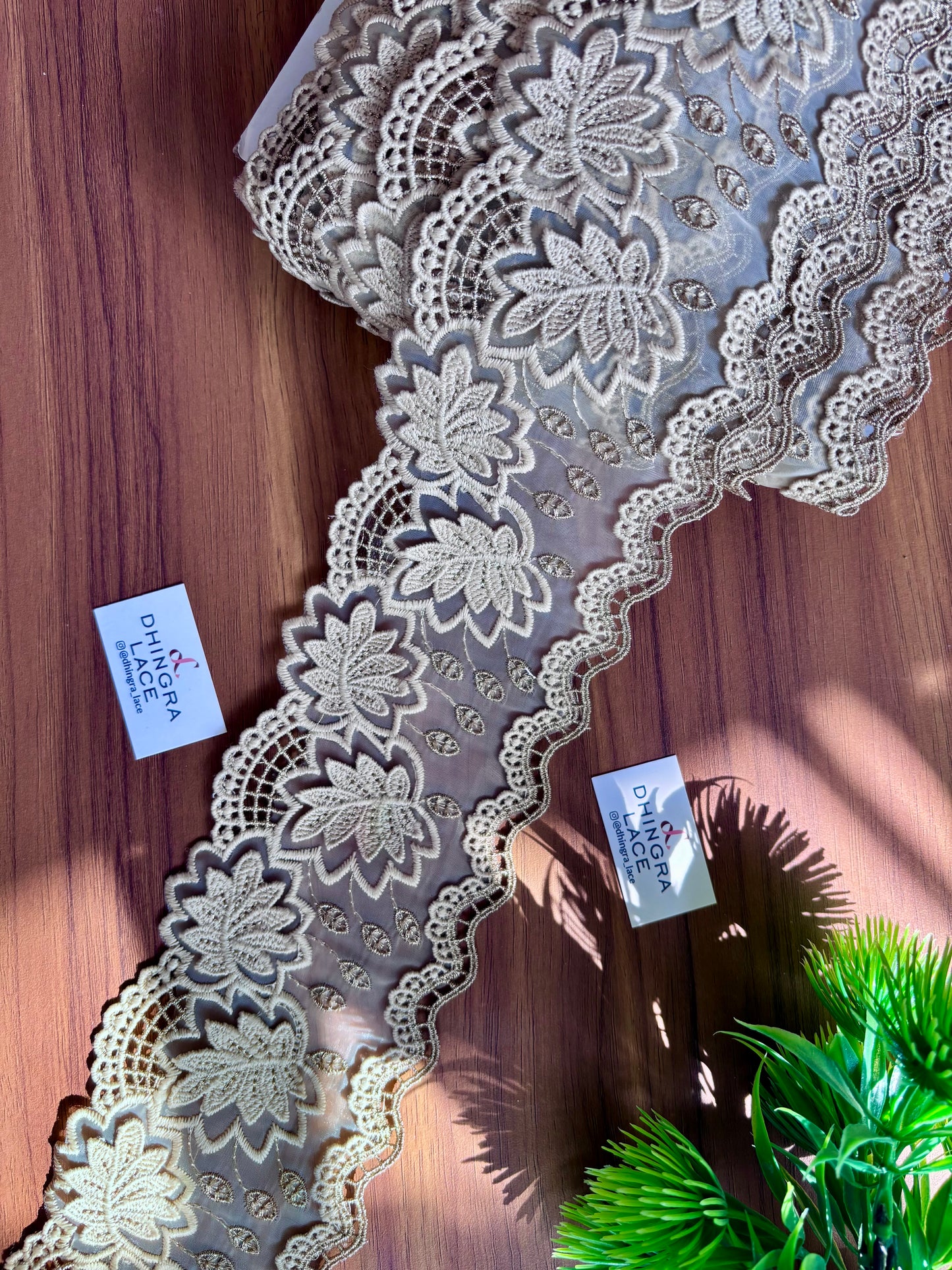 Beautiful Organza Based Guipure And Zari Work Lace Beige 051225