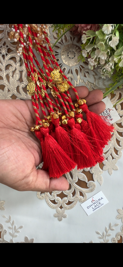 Beautiful Tassel Hanging Ghungru & Coin Work (12 pices) 230826