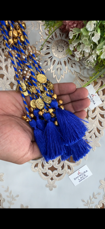 Beautiful Tassel Hanging Ghungru & Coin Work (12 pices) 230826