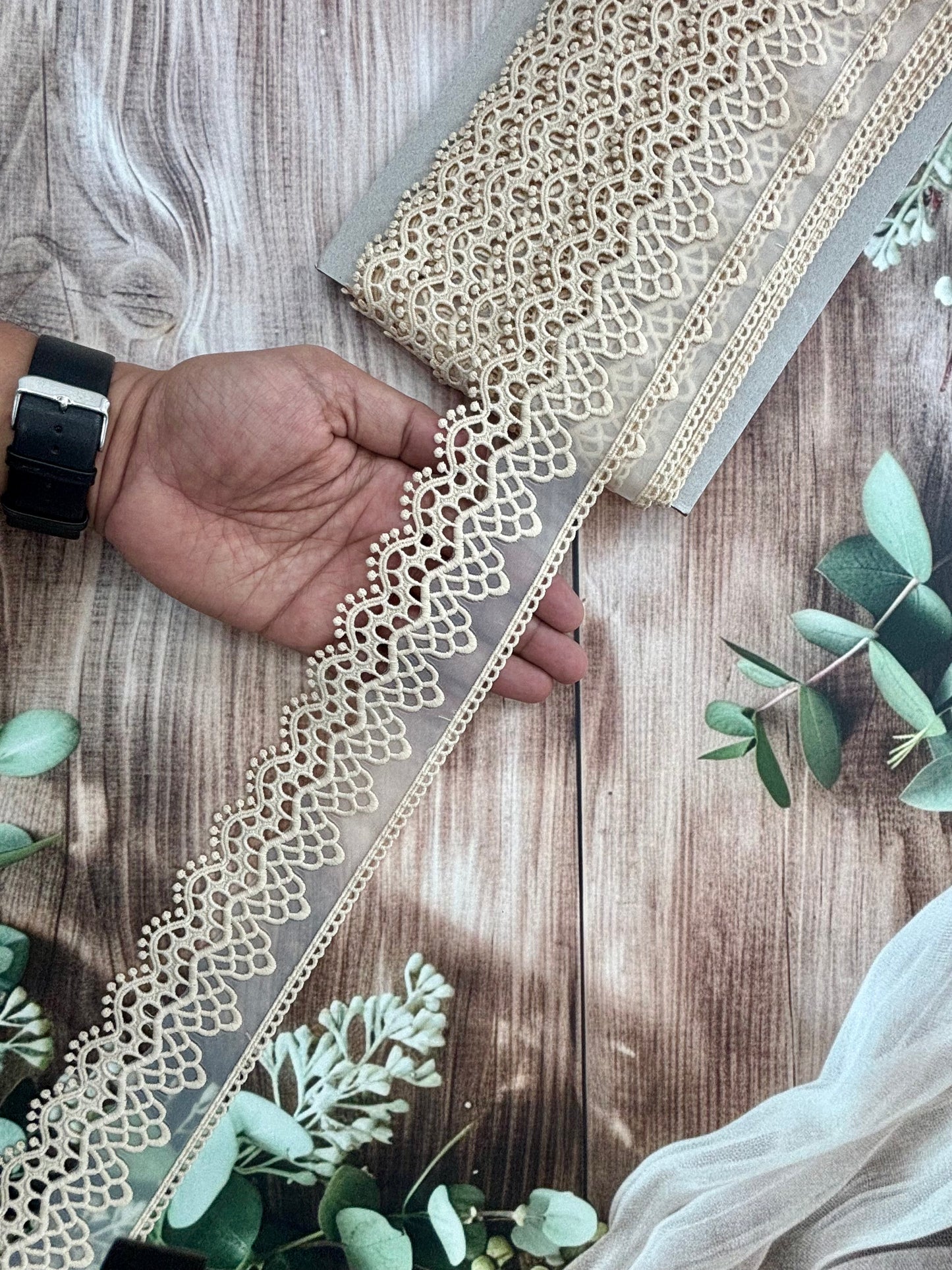 Beautiful Organza Based Scallop Lace Beige (1 Meter) 190226/130726