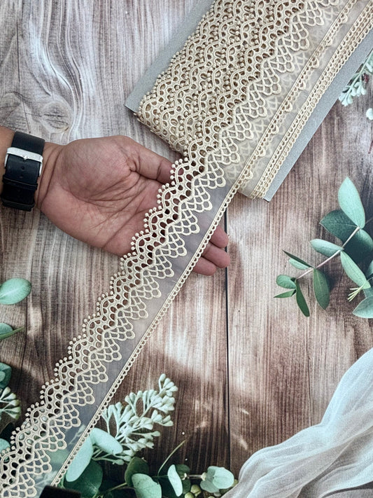 Beautiful Organza Based Scallop Lace Beige (1 Meter) 190226/130726