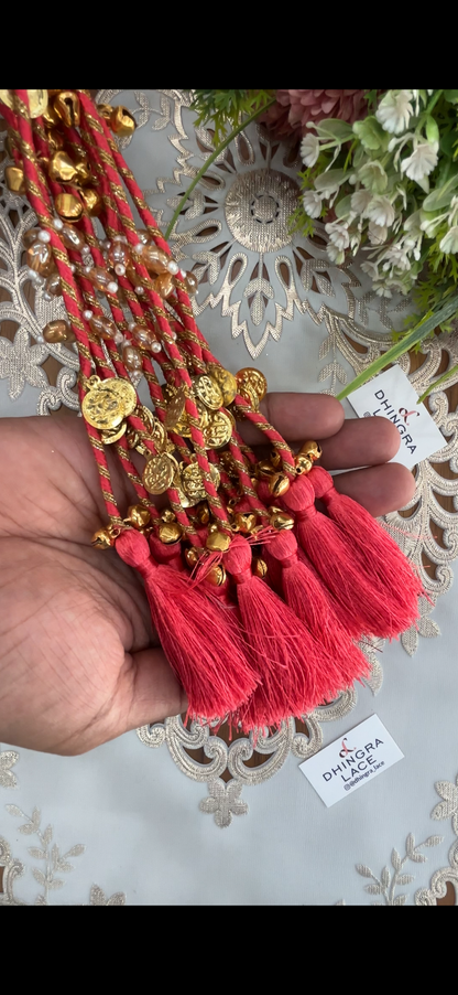 Beautiful Tassel Hanging Ghungru & Coin Work (12 pices) 230826