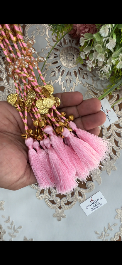 Beautiful Tassel Hanging Ghungru & Coin Work (12 pices) 230826