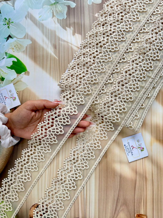 Beautiful Organza Based Lace Beige 010725