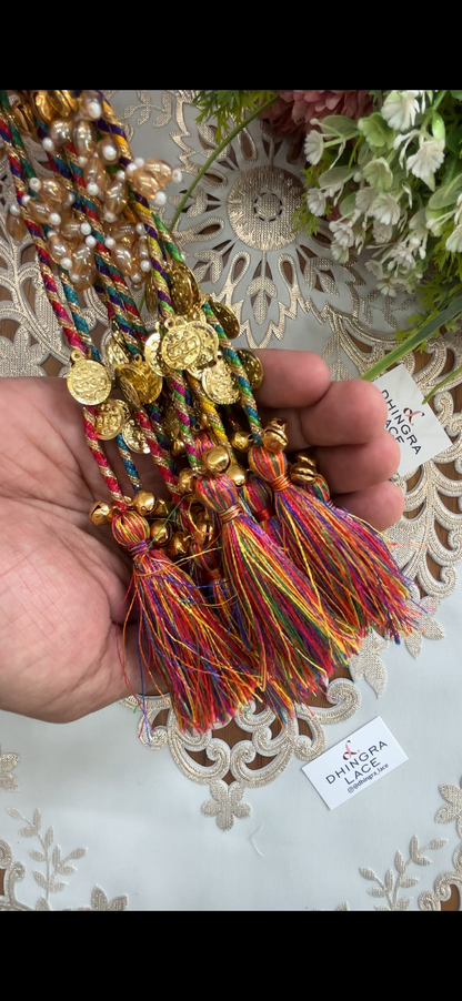 Beautiful Tassel Hanging Ghungru & Coin Work (12 pices) 230826