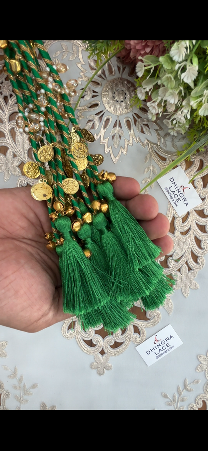 Beautiful Tassel Hanging Ghungru & Coin Work (12 pices) 230826